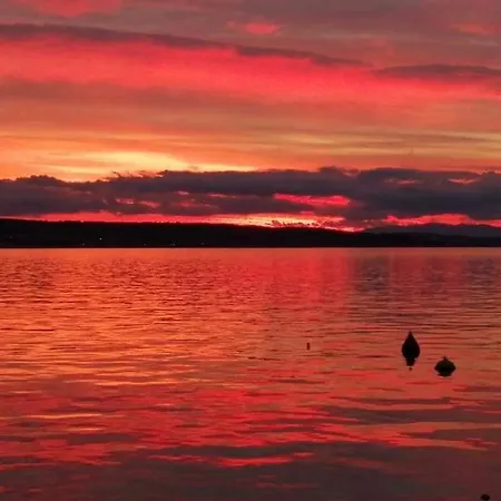 Adriatic 3 Daire Selce