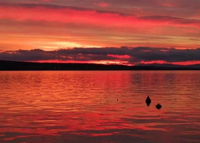 Adriatic 3 Daire Selce