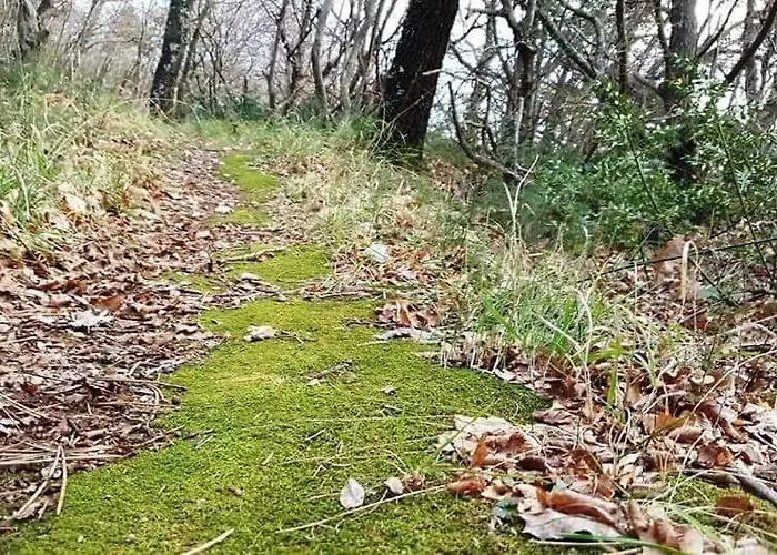 Lägenhet Adriatic 3 *