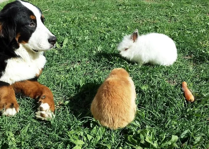 아파트 Adriatic 3 셀스